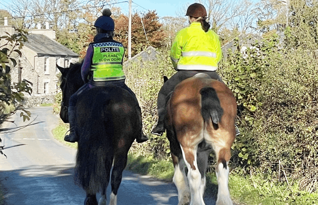 high way code changes for horse riders